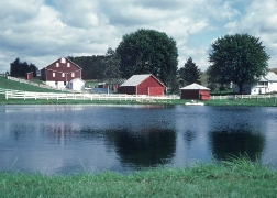 pond