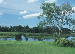 pond